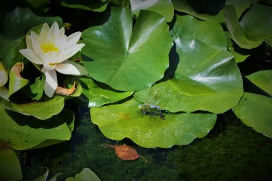 功能截图 - 走势图与数据统计